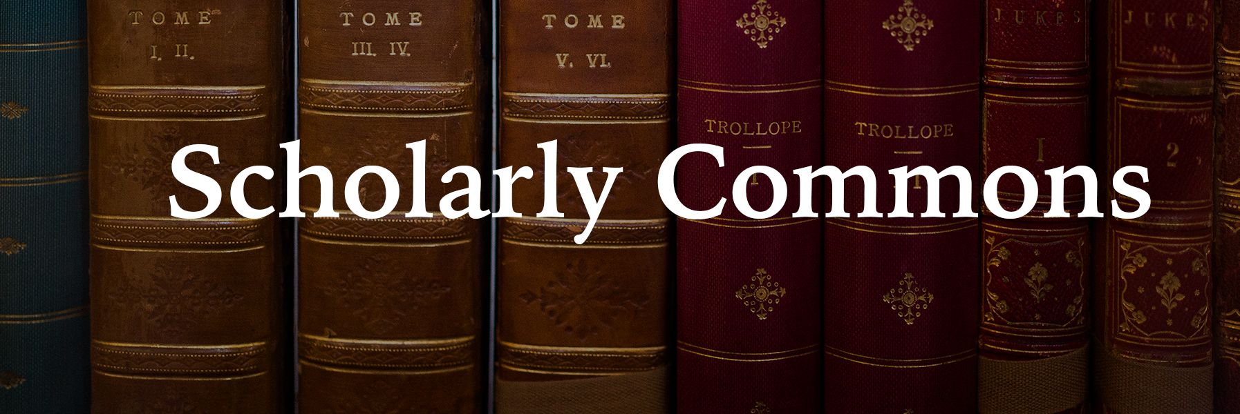 Scholarly Commons